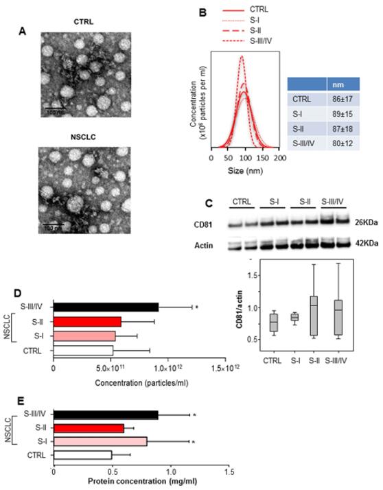 LDH Cytotoxicity Assay